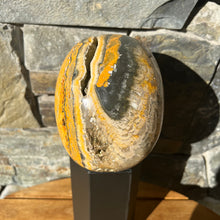 Load image into Gallery viewer, Large Hand Carved Bumblebee Jasper Skull
