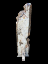 Load image into Gallery viewer, Ammonite and Orthoceras Fossil Tower