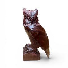 Load image into Gallery viewer, Ironwood Owl
