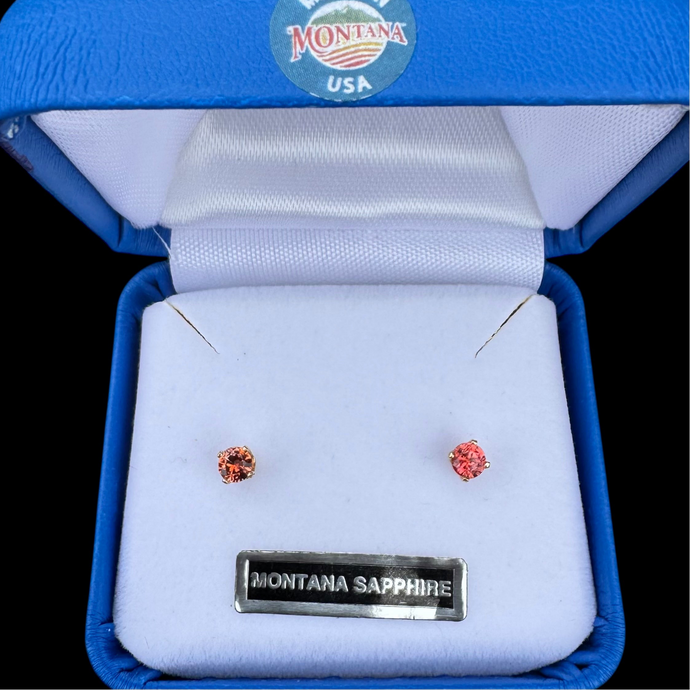 Montana Sapphire Round Stud Earrings in Yellow Gold