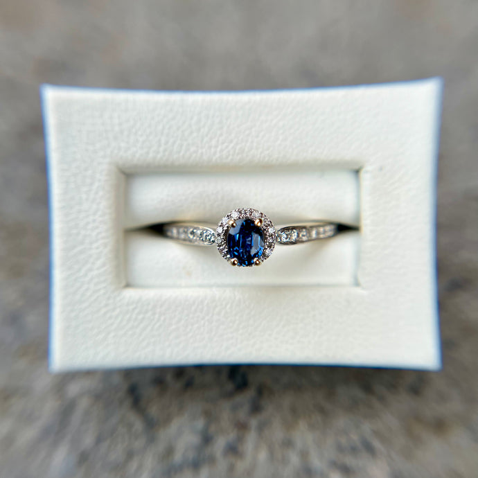 Montana Yogo Sapphire and Diamond Ring in White Gold