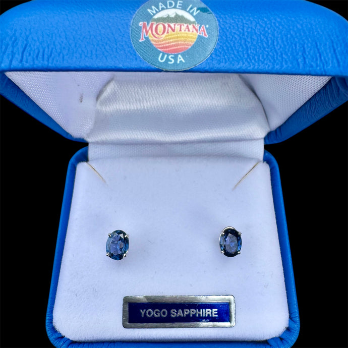 Montana Yogo Sapphire Earrings in White Gold
