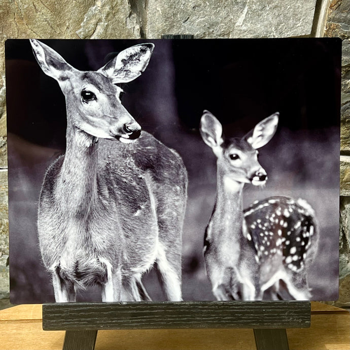 Doe and Fawn by Daphne Dennison