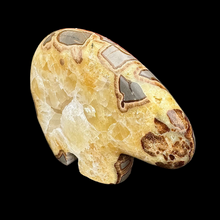 Load image into Gallery viewer, Medium Zuni Style Bear Carved from Septarian Agate
