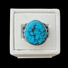 Load image into Gallery viewer, Egyptian Prince Turquoise Ring, Size 8
