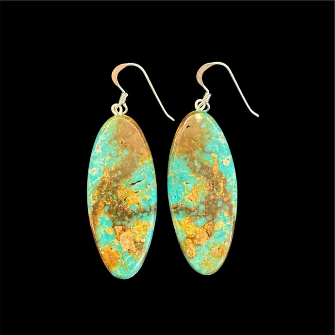 Campitos Turquoise Solid Slab Earrings