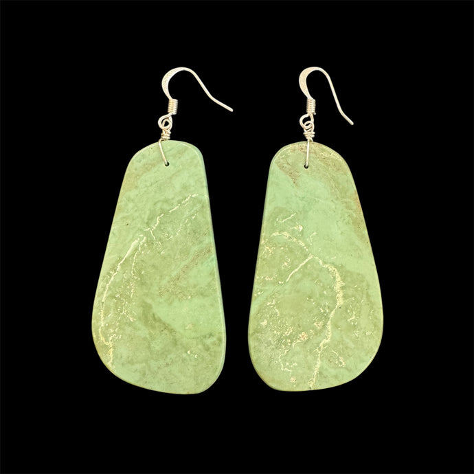 Campitos Turquoise Solid Slab Earrings