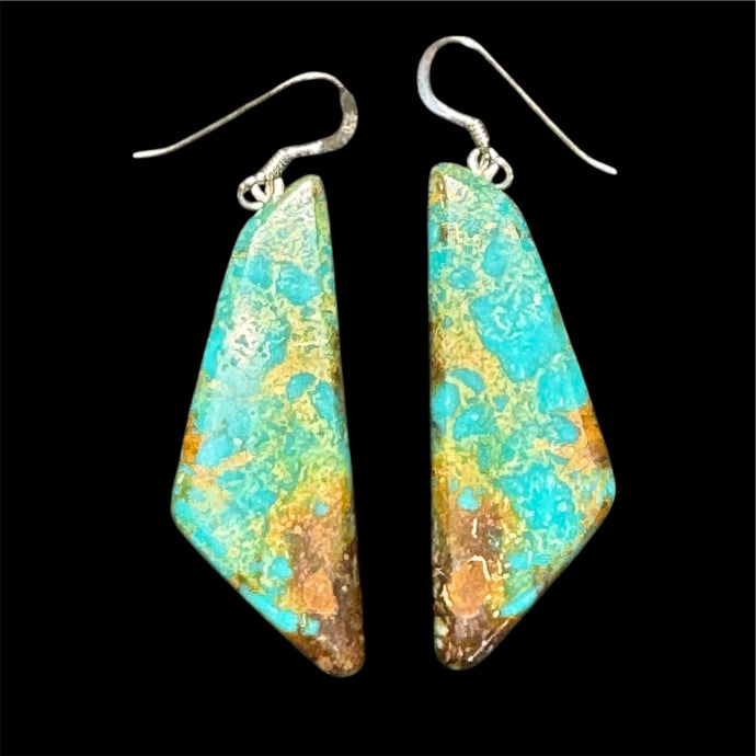 Campitos Turquoise Solid Slab Earrings