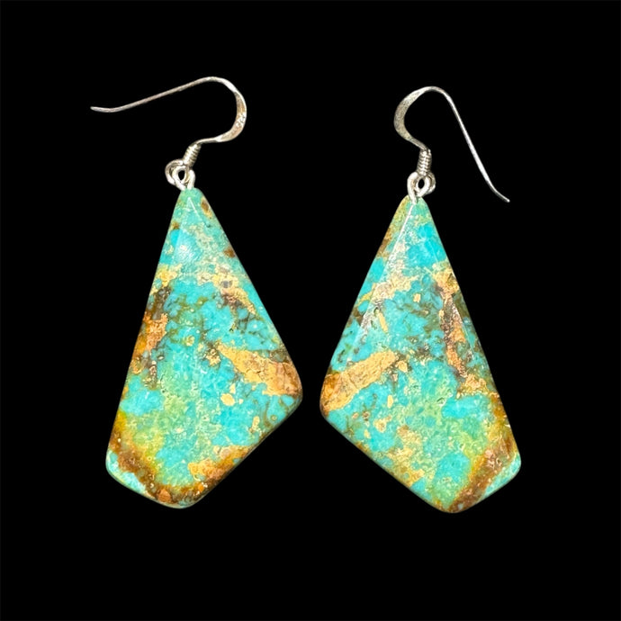 Campitos Turquoise Solid Slab Earrings