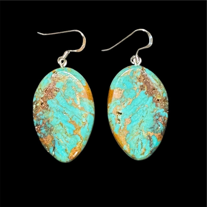 Campitos Turquoise Solid Slab Earrings