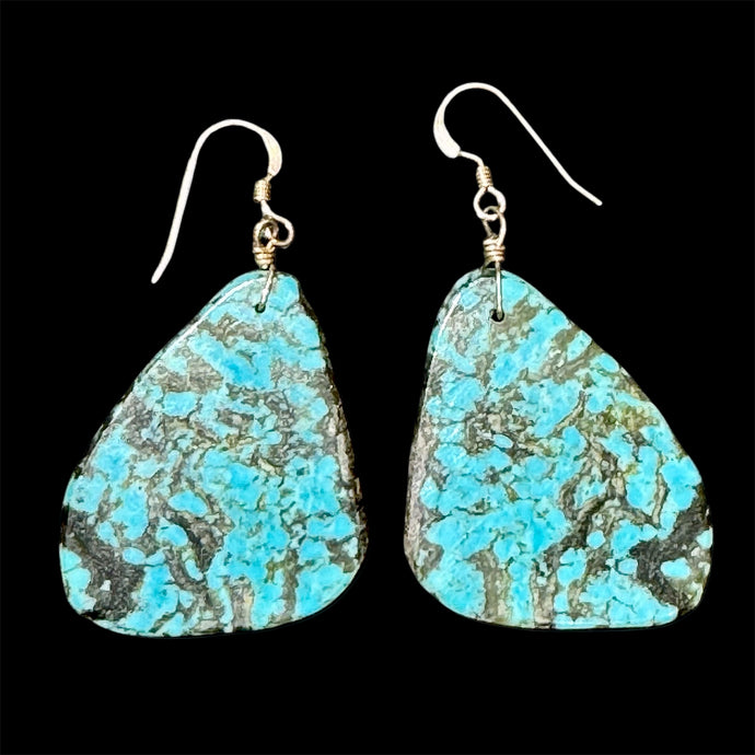 Campitos Solid Slab Turquoise Earrings