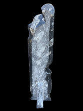 Load image into Gallery viewer, Ammonite and Orthoceras Fossil Tower
