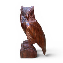 Load image into Gallery viewer, Ironwood Owl

