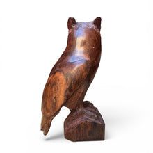 Load image into Gallery viewer, Ironwood Owl
