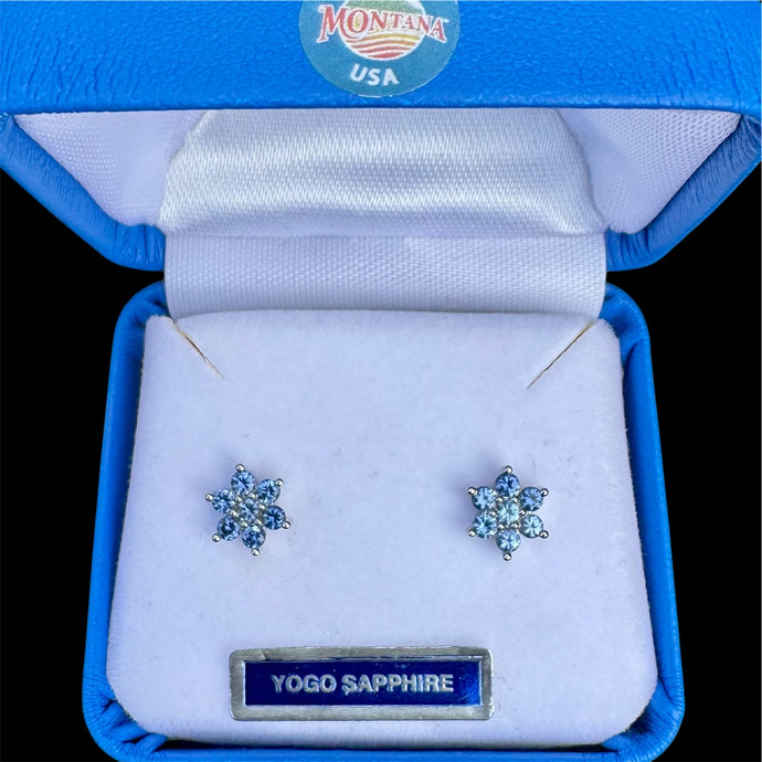 Montana Yogo Sapphire Earrings in White Gold
