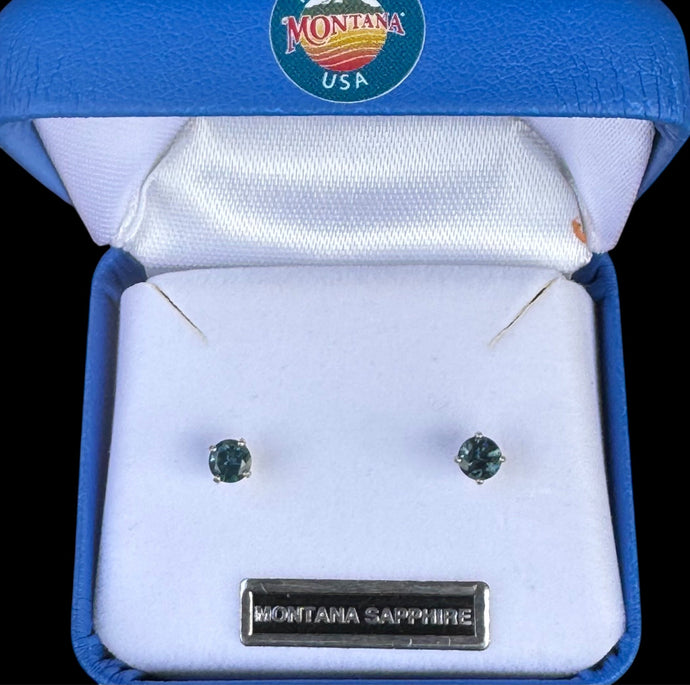 Montana Sapphire Round Stud Earrings in Sterling Silver
